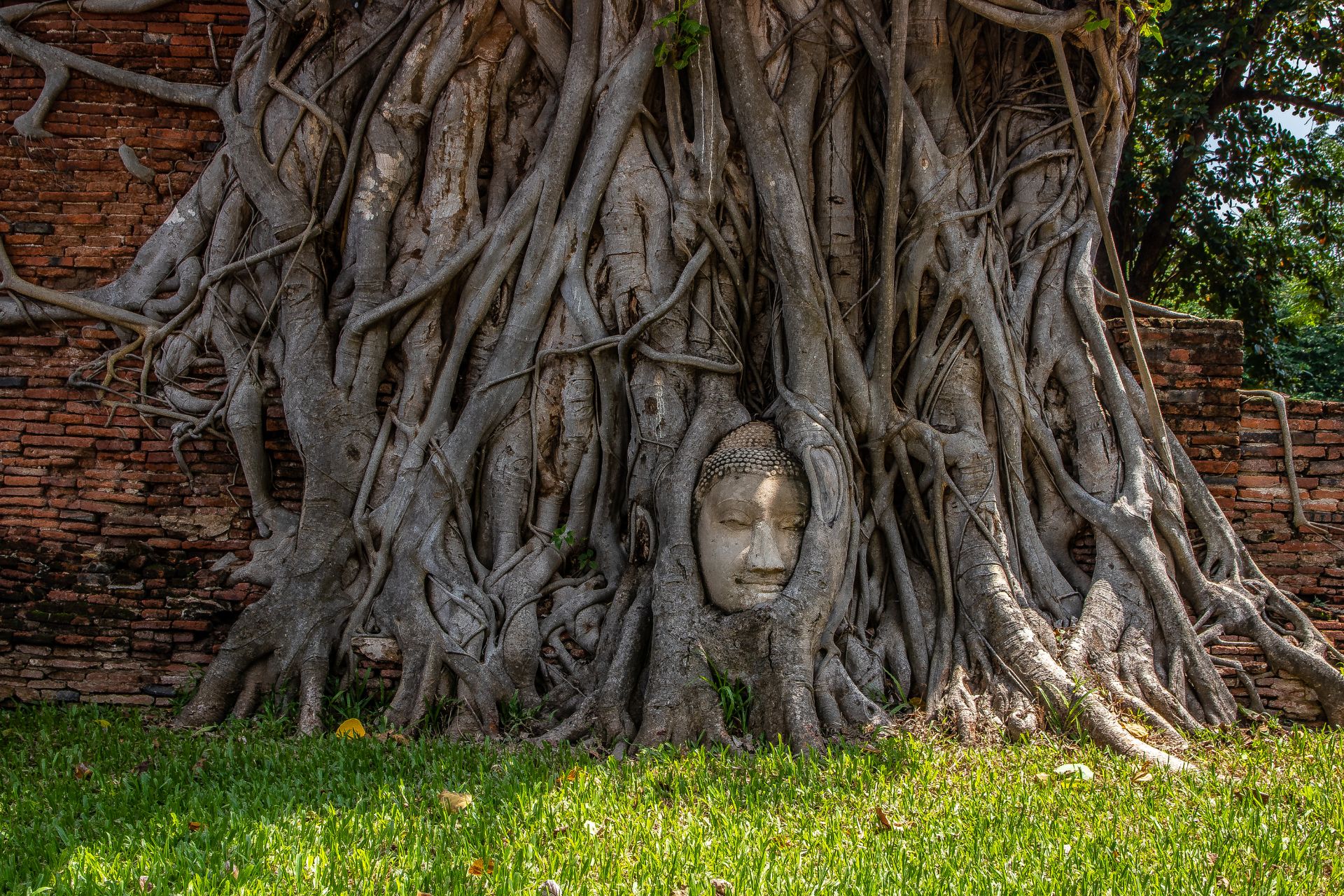 From Bangkok: Ayutthaya One Day Join Tour