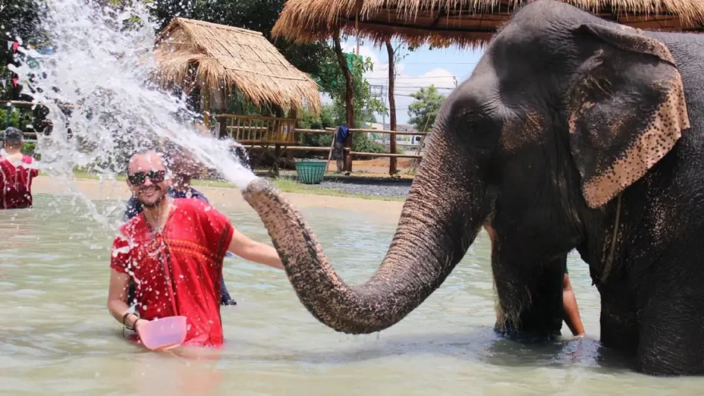 Bangkok Elephant Park