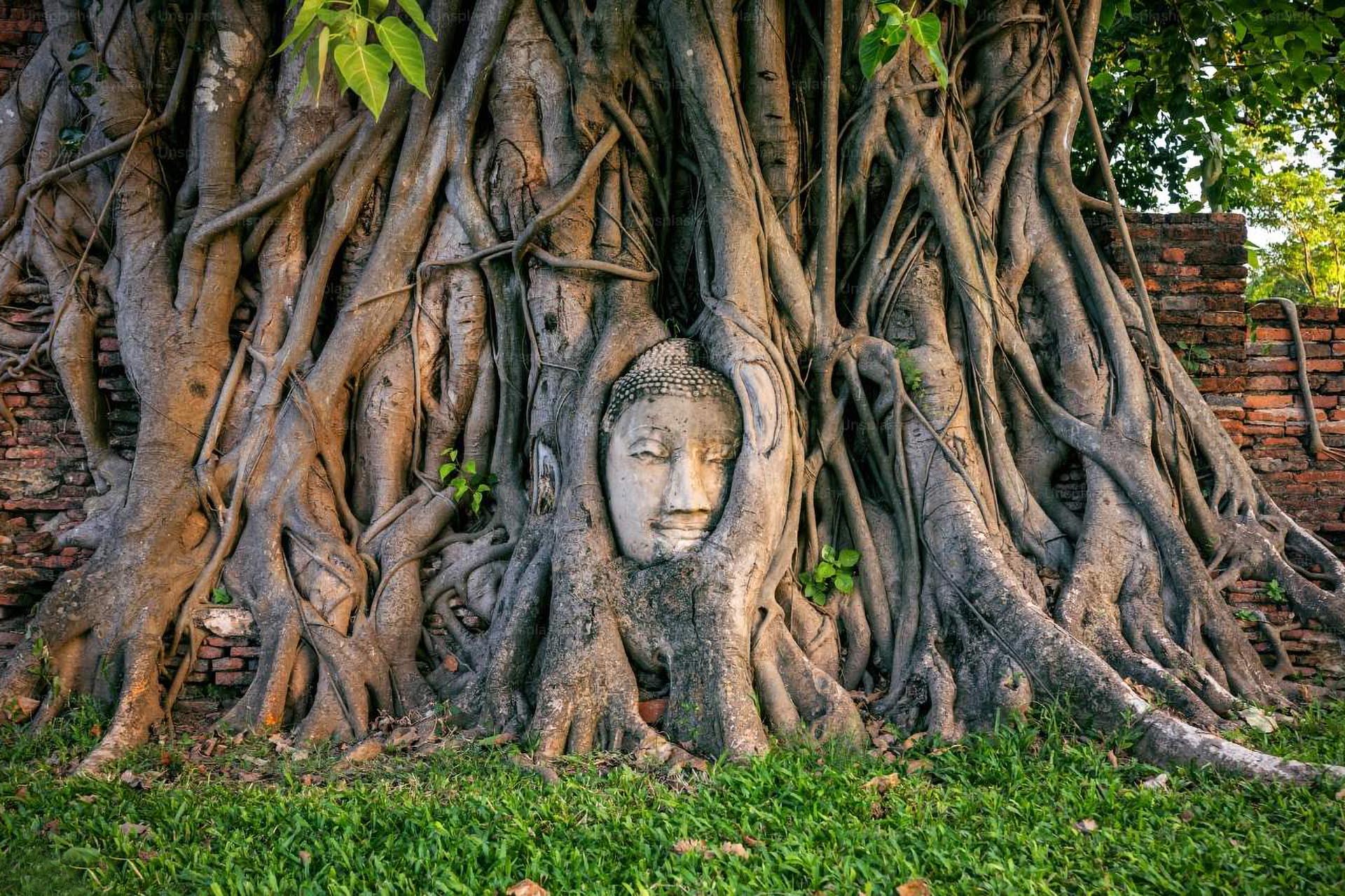 From Bangkok: Ayutthaya One Day Join Tour