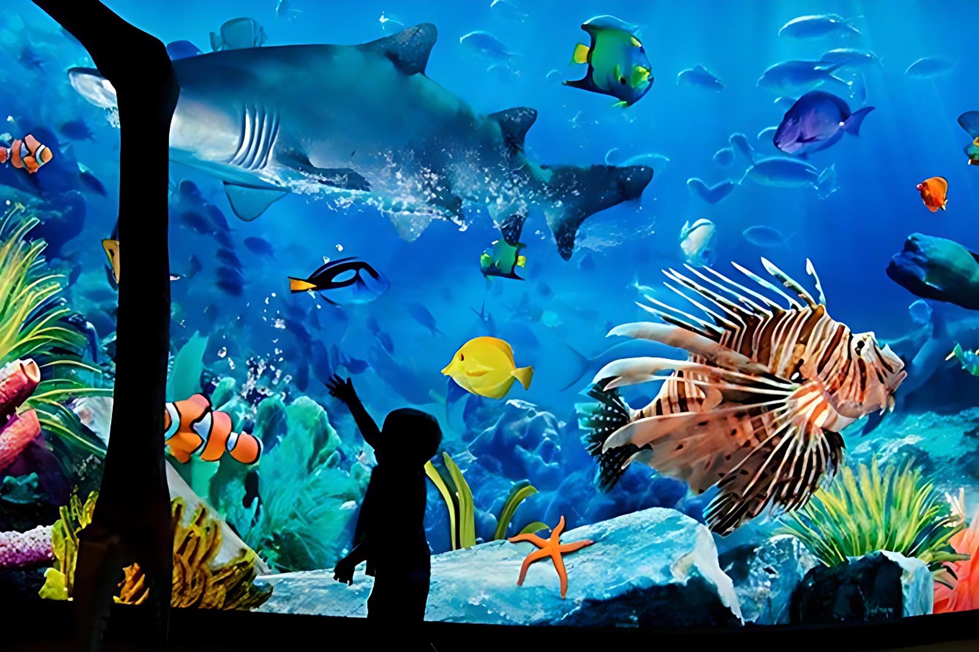 Bangkok: SEA LIFE Bangkok Ocean World Ticket