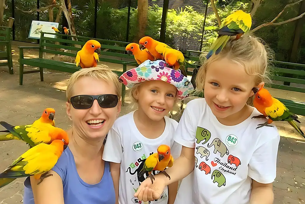 Safari World Bangkok Ticket