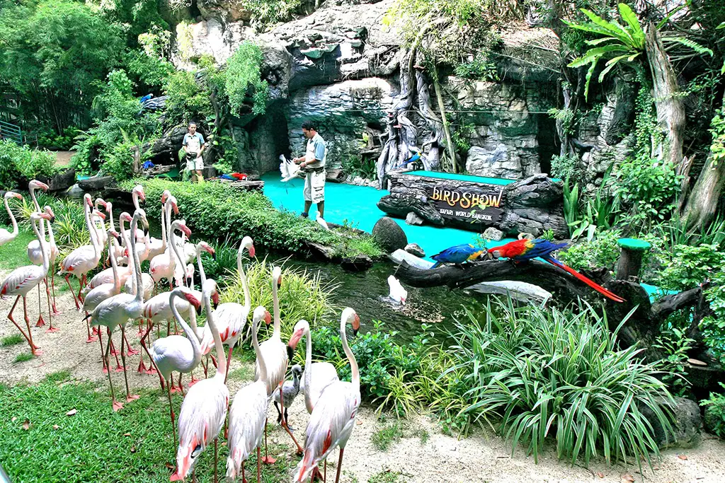 Safari World Bangkok Ticket