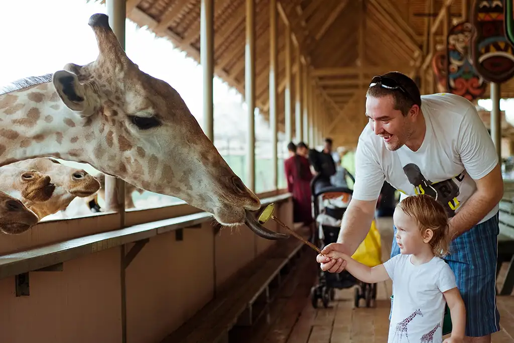 Safari World Bangkok Ticket