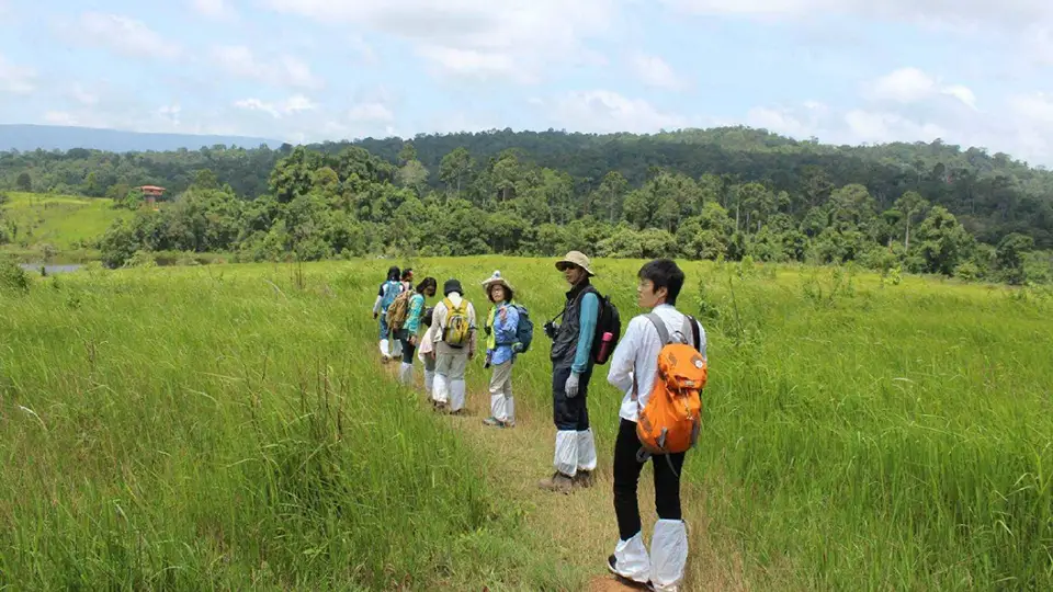 From Bangkok: Back to Nature Trekking and Hiking at Khao Yai National Park