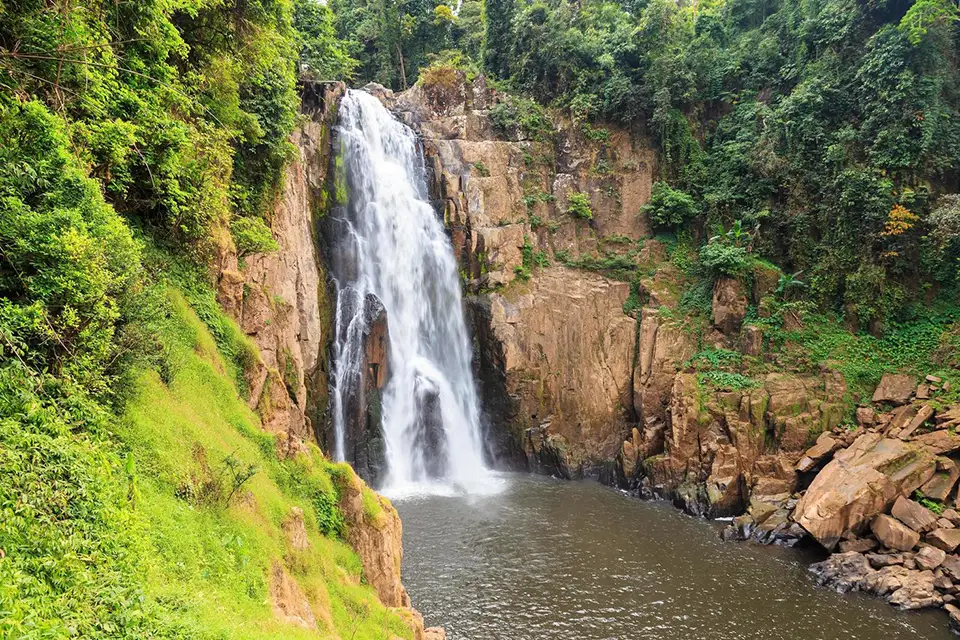 From Bangkok: Back to Nature Trekking and Hiking at Khao Yai National Park