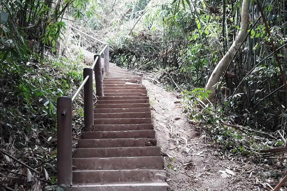 From Bangkok: Back to Nature Trekking and Hiking at Khao Yai National Park