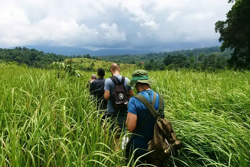 From Bangkok: Back to Nature Trekking and Hiking at Khao Yai National Park