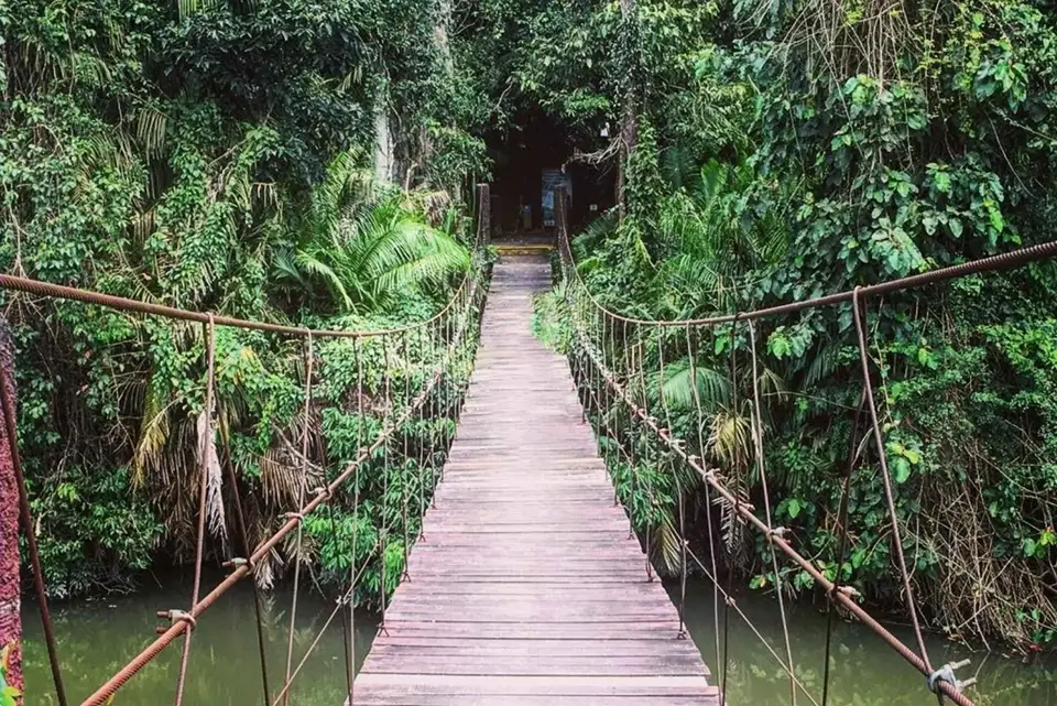 From Bangkok: Back to Nature Trekking and Hiking at Khao Yai National Park