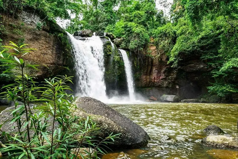 From Bangkok: Back to Nature Trekking and Hiking at Khao Yai National Park