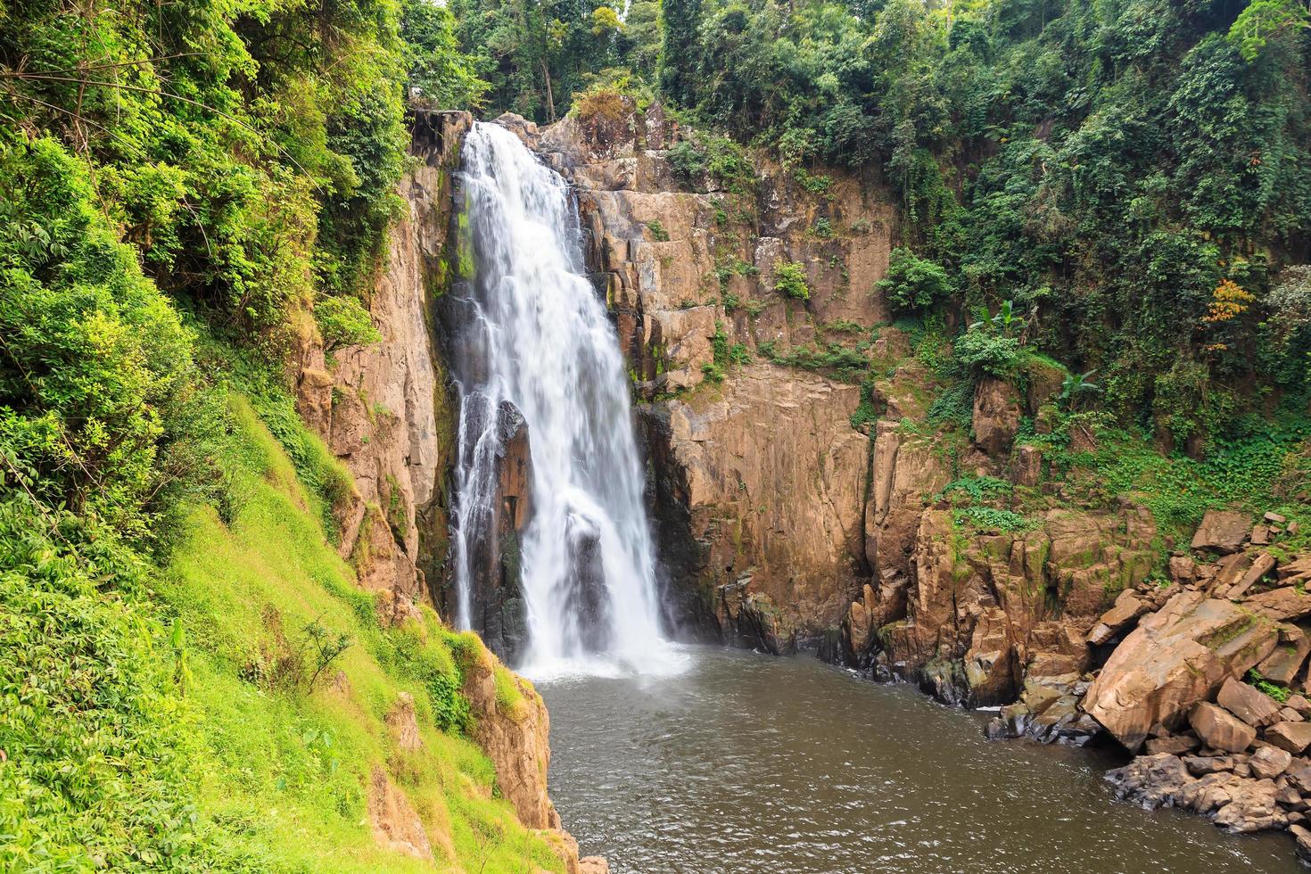 From Bangkok: Back to Nature Trekking and Hiking at Khao Yai National Park