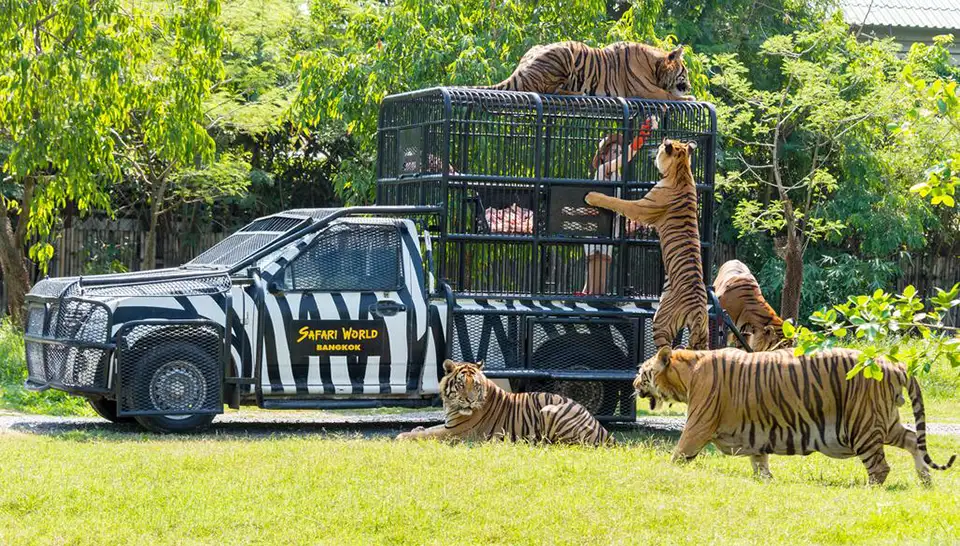 Safari World Bangkok with Transfer at Meeting Point
