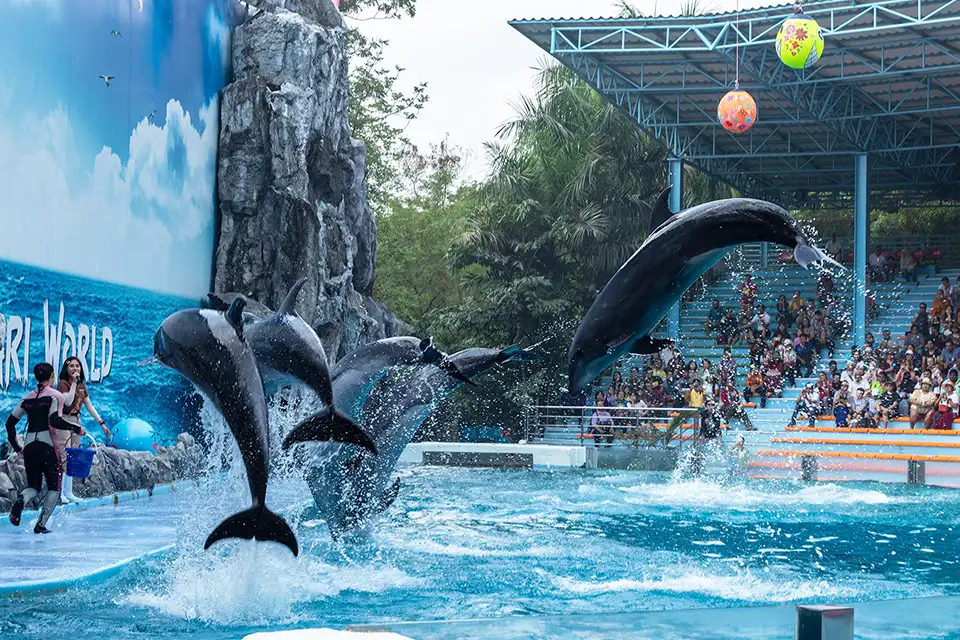 Safari World Bangkok with Transfer at Meeting Point