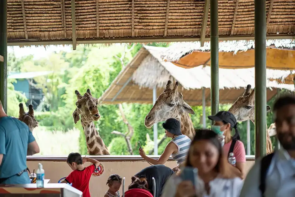 Safari World Bangkok with Transfer at Meeting Point