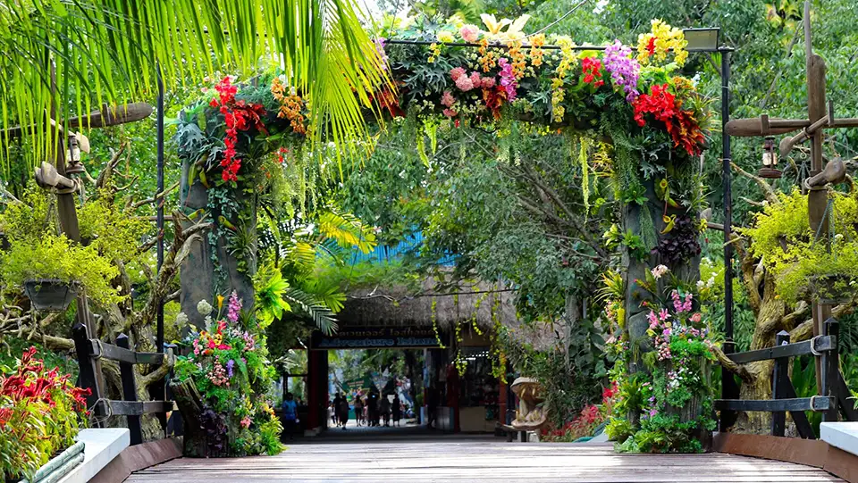 Safari World Bangkok with Transfer at Meeting Point