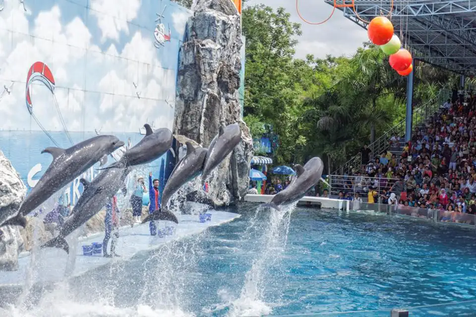 Safari World Bangkok with Transfer at Meeting Point