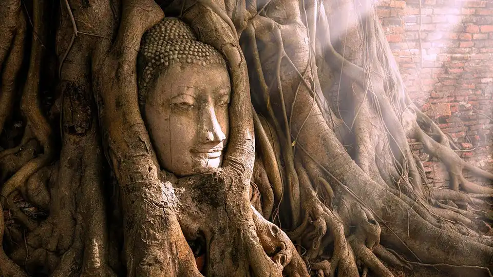 From Bangkok: Ayutthaya Night Tour with Night Market and Hotel Transfer (Join Tour)