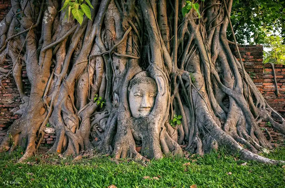 From Bangkok: Ayutthaya Night Tour with Night Market and Hotel Transfer (Join Tour)