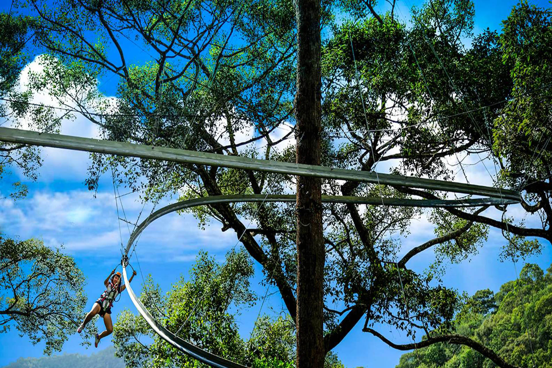Chiang Mai: Jungle Flight Zip Line Roller Coaster Eco Adventure