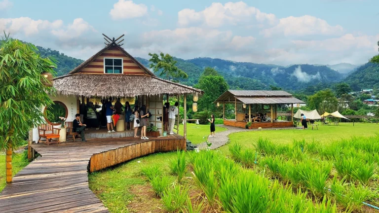 Chiang Mai Ai Nara Cafe Rice Field View Cafe