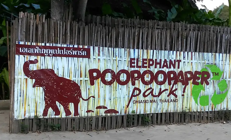 Chiang Mai: Elephant POOPOOPAPER Park