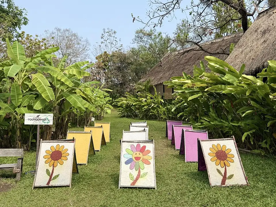 Chiang Mai: Elephant POOPOOPAPER Park