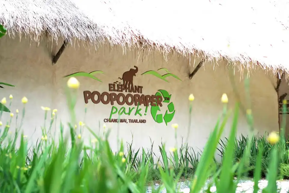Chiang Mai: Elephant POOPOOPAPER Park