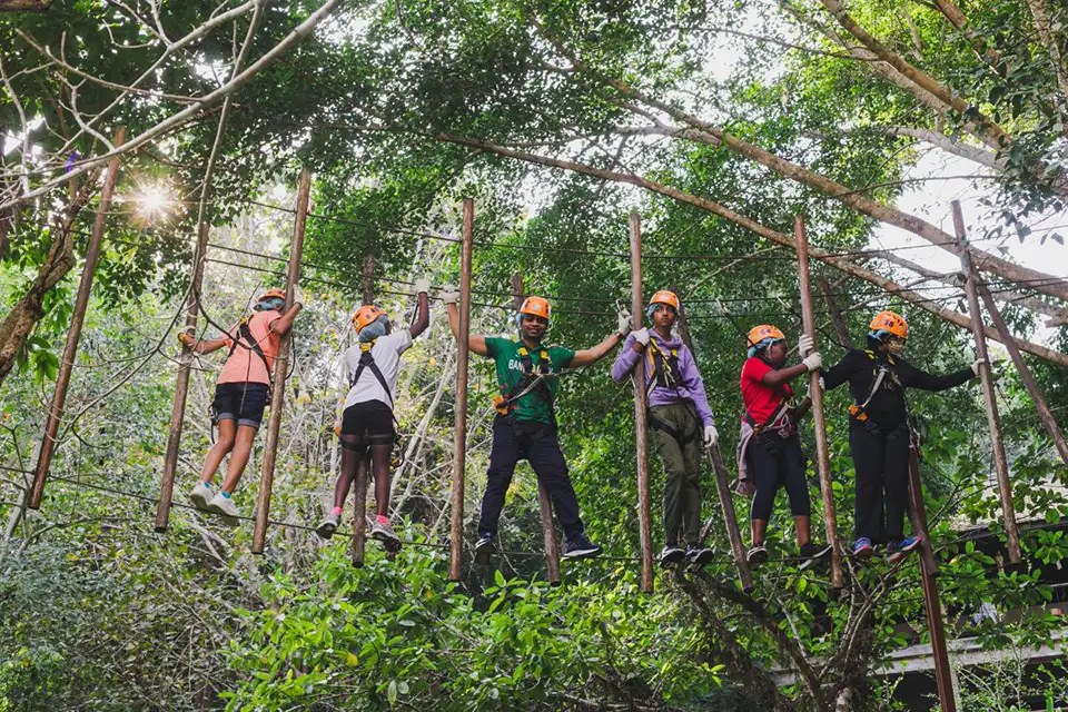 Chiang Mai: Phoenix Adventure Zipline & High Rope