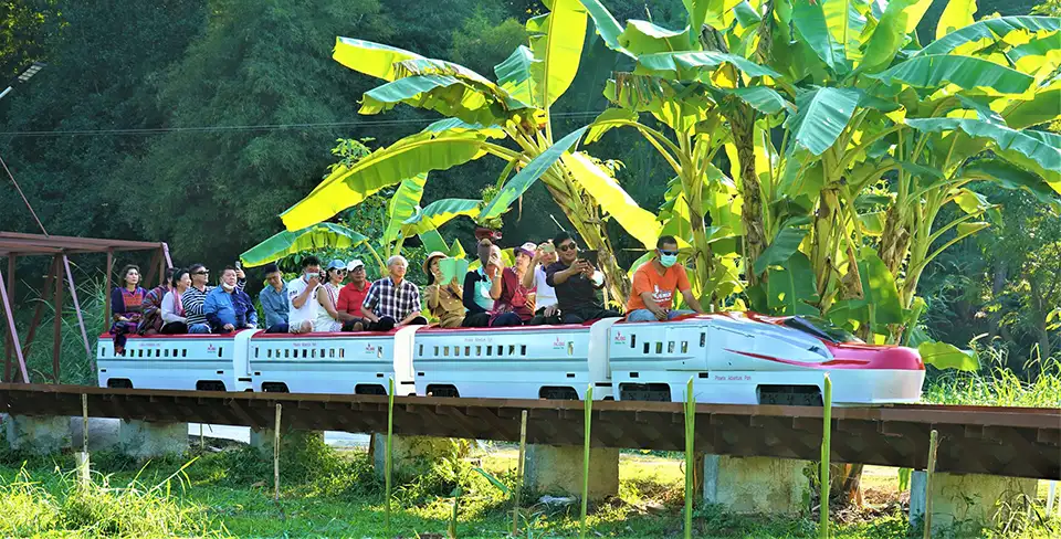 Chiang Mai: Phoenix Adventure Zipline & High Rope