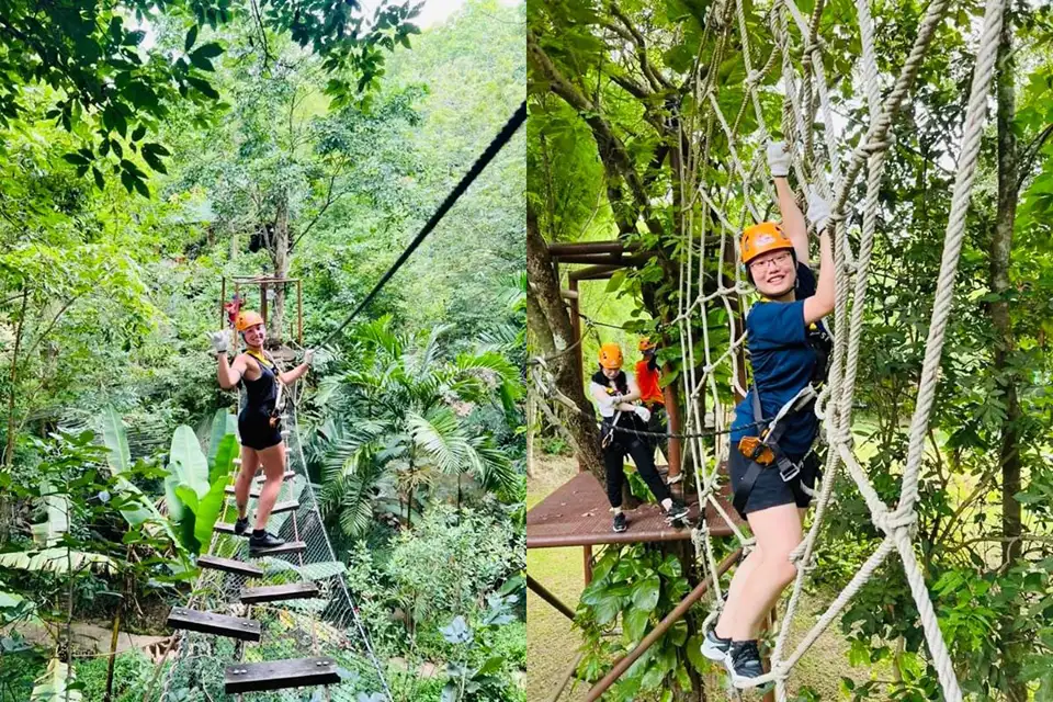 Chiang Mai: Phoenix Adventure Zipline & High Rope