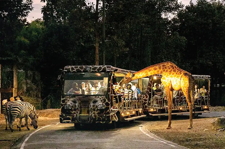 Ching Mai:  Doi Suthep and Chiang Mai University (Ang Kaew) Joined Tour