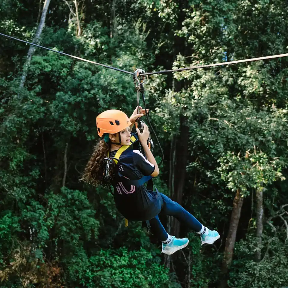 Chiang Mai: Flying Tiger Zipline Adventure