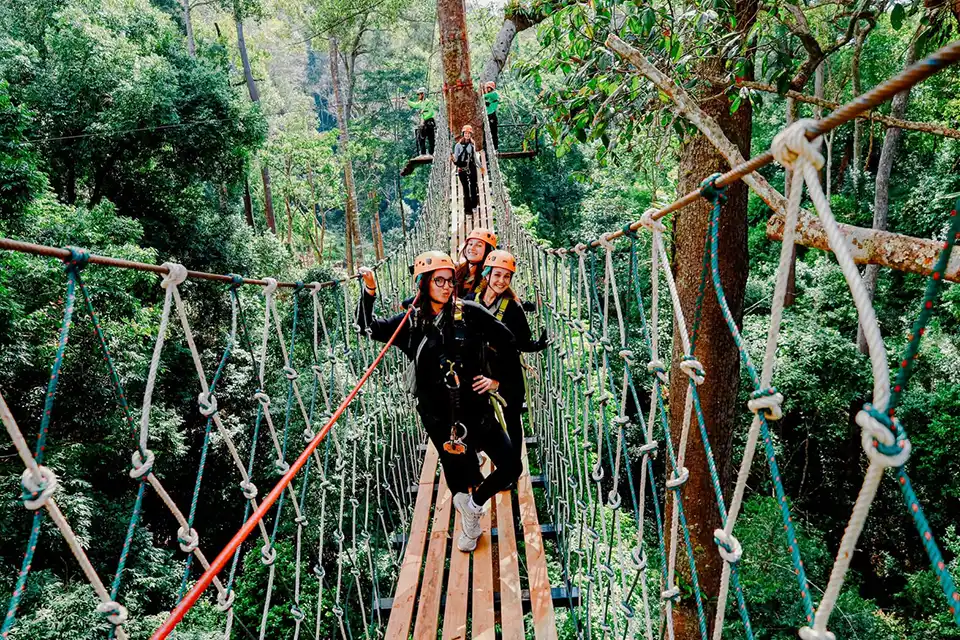 Chiang Mai: Flying Tiger Zipline Adventure