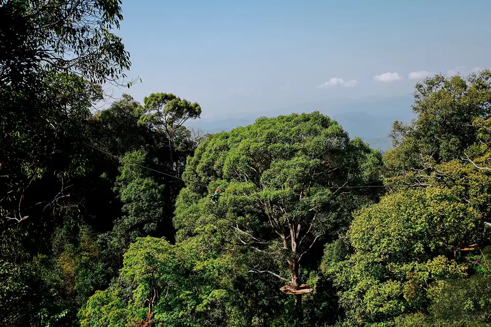 Chiang Mai: Flying Tiger Zipline Adventure
