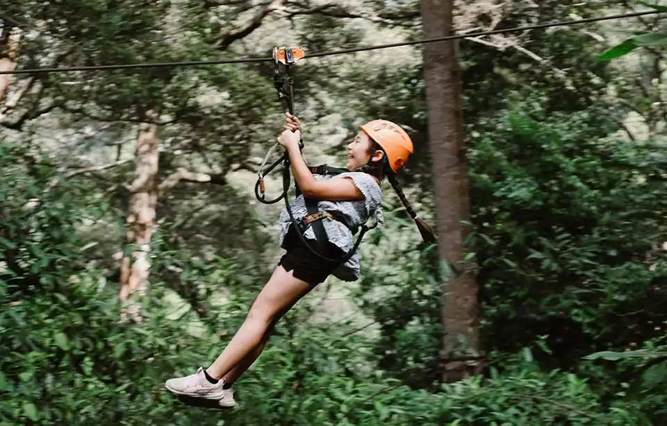 Chiang Mai: Flying Tiger Zipline Adventure