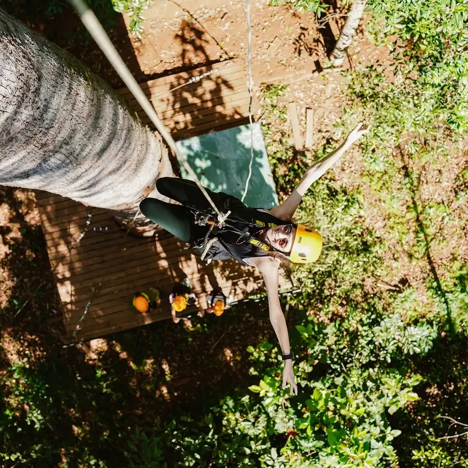 Chiang Mai: Flying Tiger Zipline Adventure