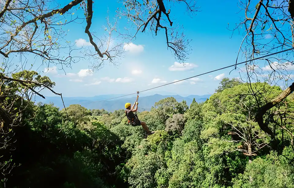 Chiang Mai: Flying Tiger Zipline Adventure