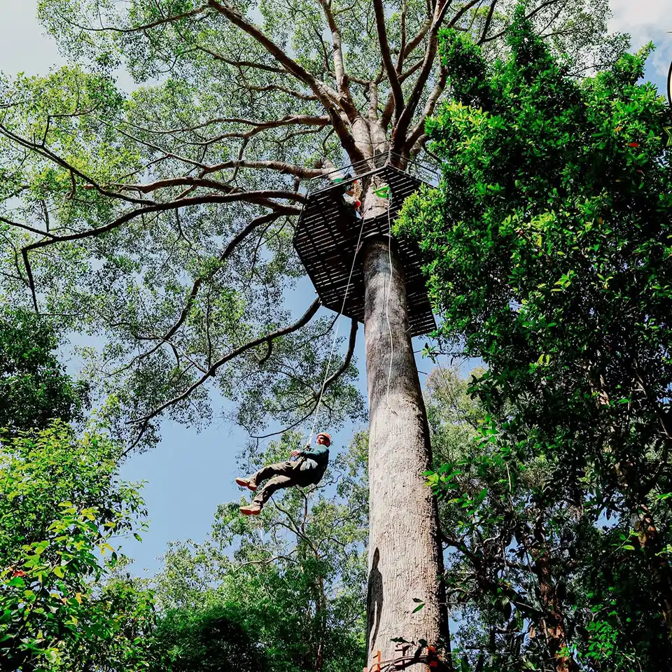 Chiang Mai: Flying Tiger Zipline Adventure