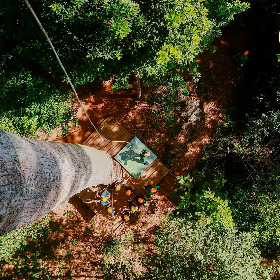 Chiang Mai: Flying Tiger Zipline Adventure