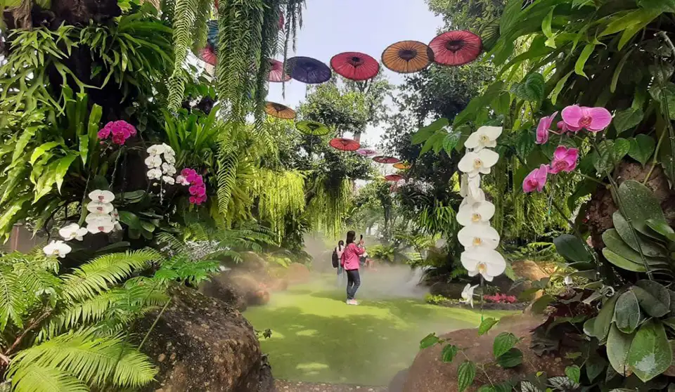 From Chiang Mai: Red Temple, White Temple, Blue Temple and Lalita Cafe: Chiang Rai