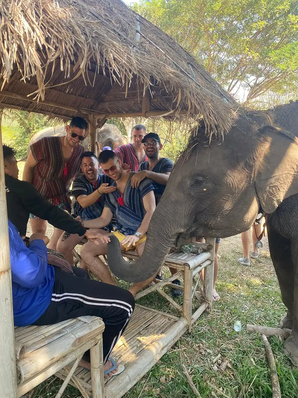 Chiang Mai: Lanna Elephant Care