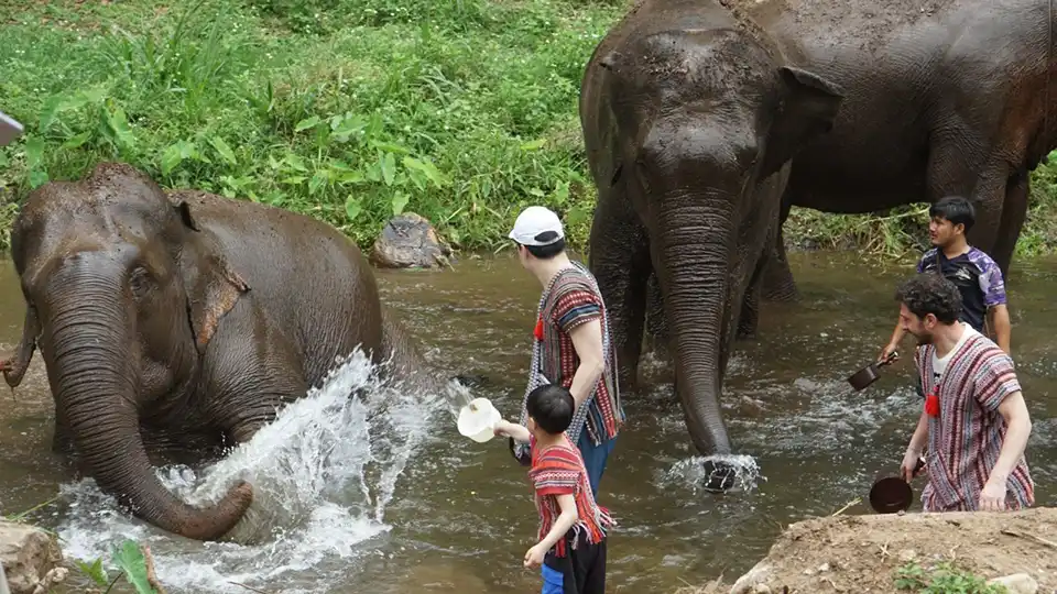 Chiang Mai: Lanna Elephant Care