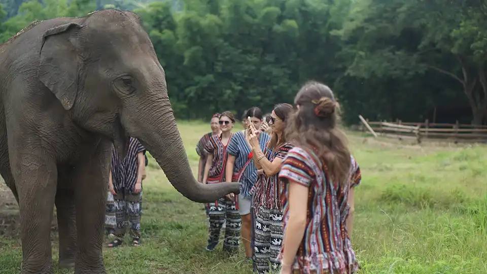 Chiang Mai: Lanna Elephant Care