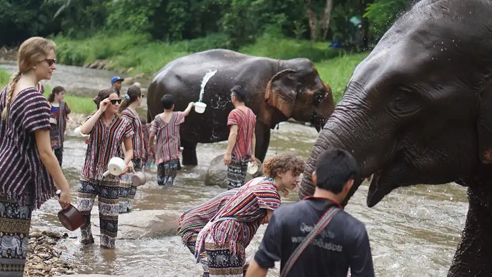 Chiang Mai: Lanna Elephant Care
