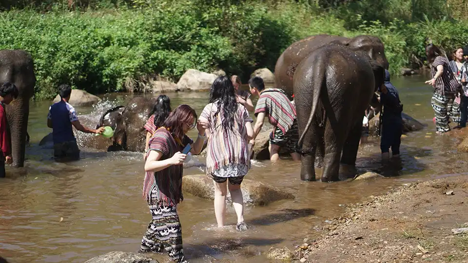 Chiang Mai: Lanna Elephant Care