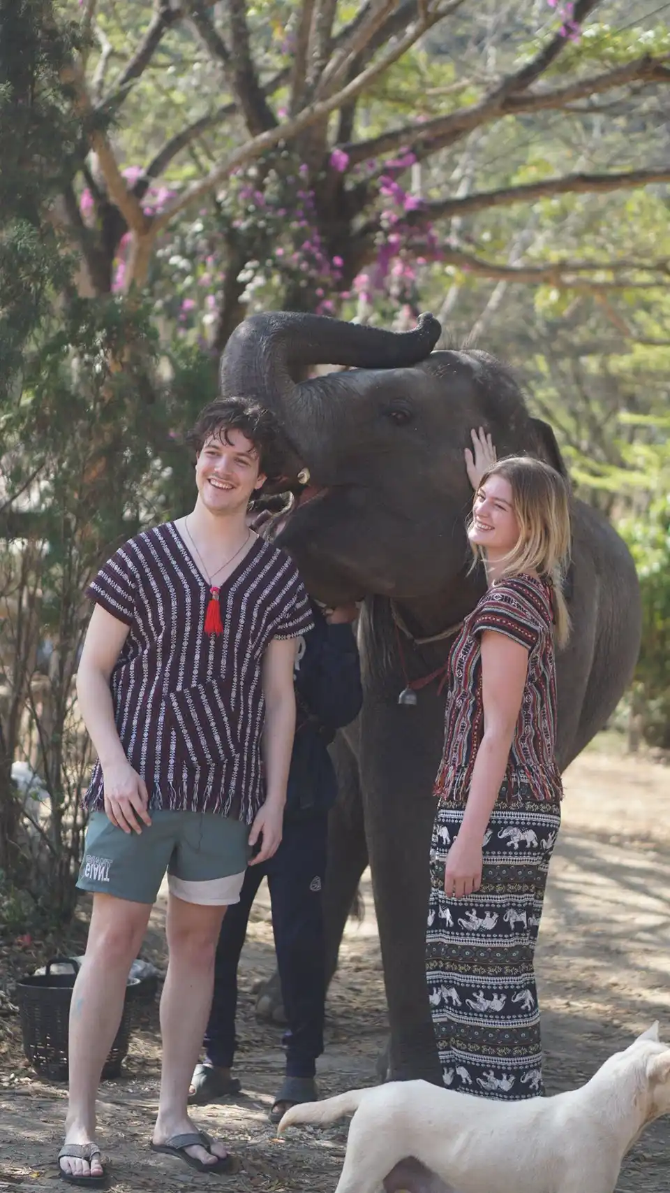 Chiang Mai: Lanna Elephant Care