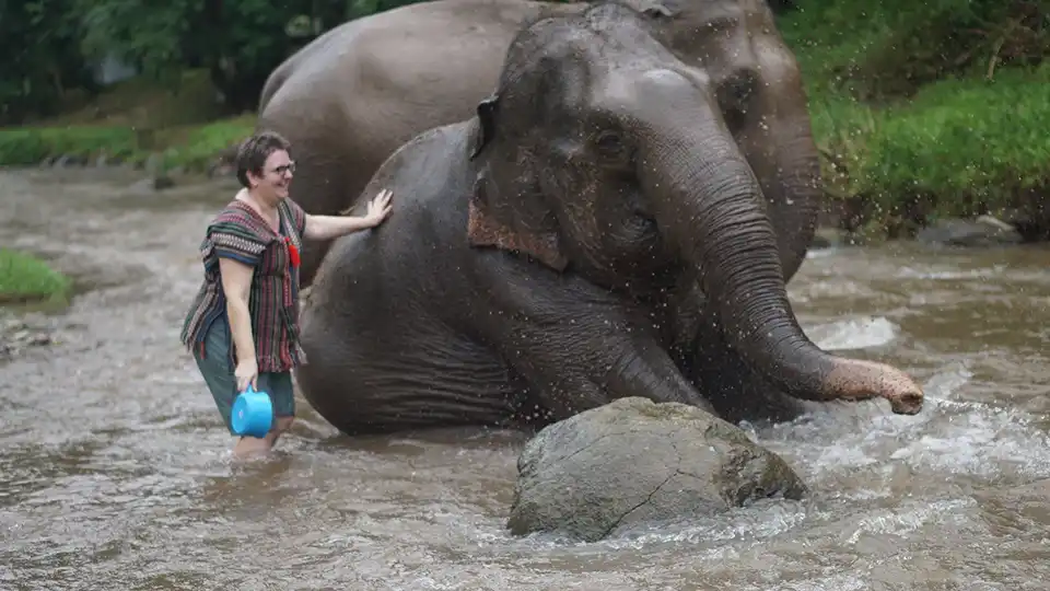 Chiang Mai: Lanna Elephant Care