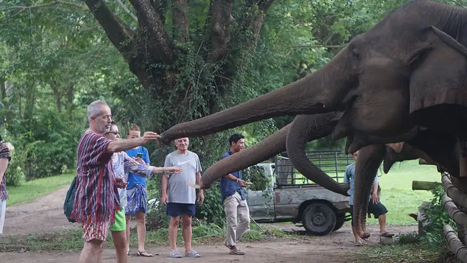 Chiang Mai: Lanna Elephant Care