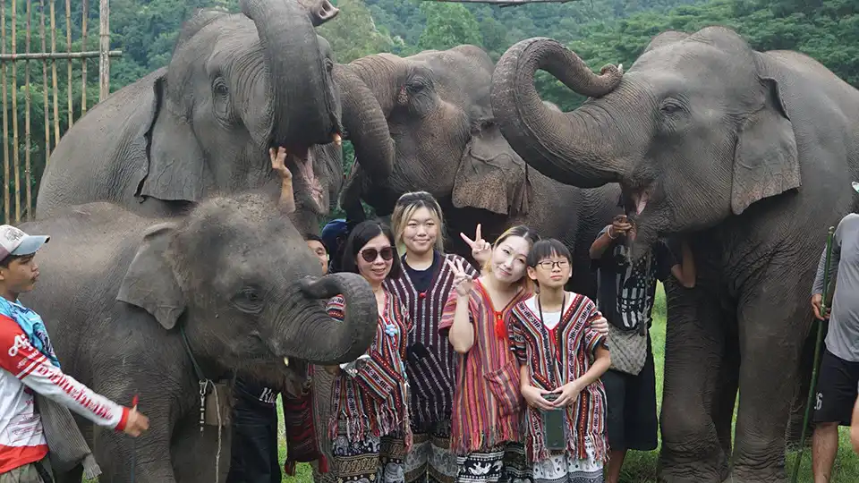 Chiang Mai: Lanna Elephant Care