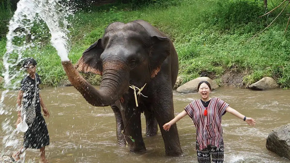 Chiang Mai: Lanna Elephant Care
