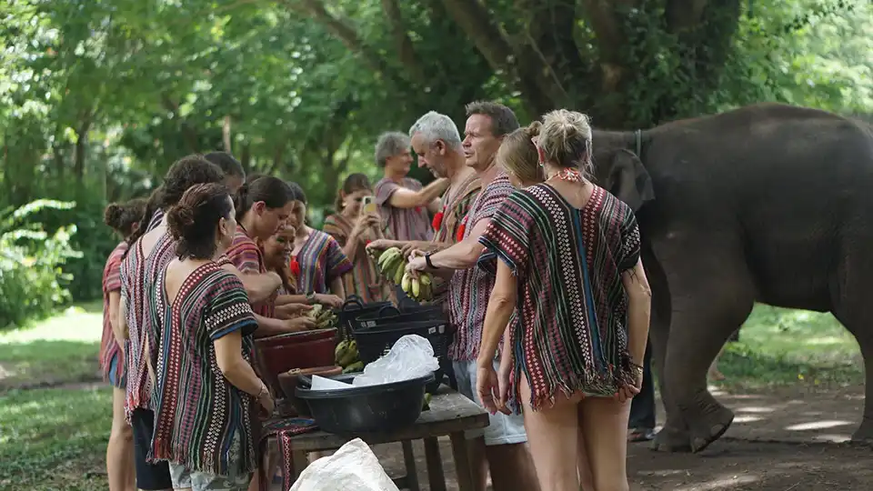 Chiang Mai: Lanna Elephant Care
